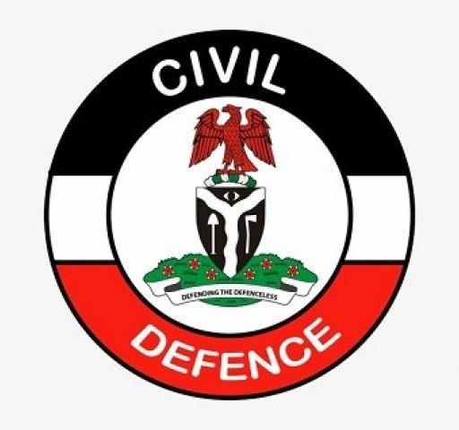 Nig Civil defence logo
